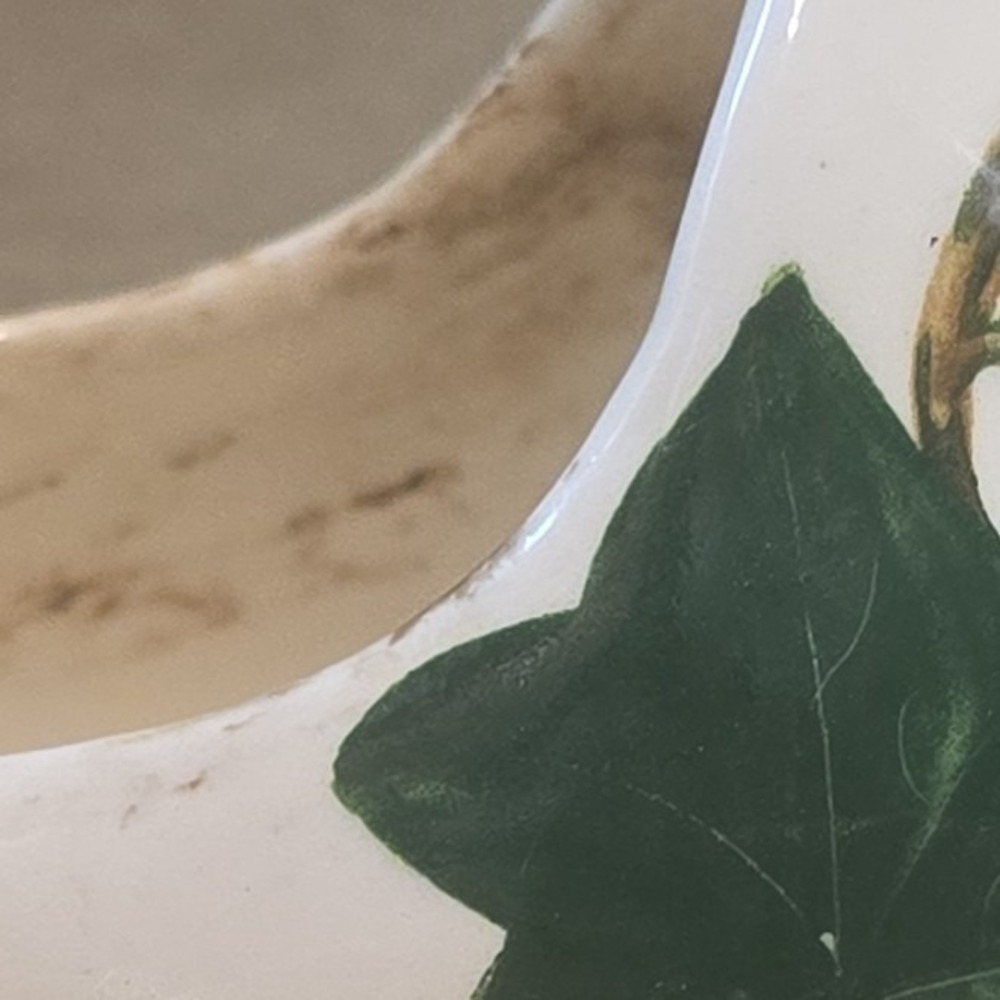 Poppytrail California Ivy Hand Painted Ceramic Slipper Shoe Planter White Green